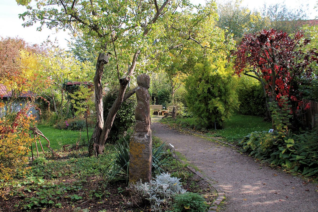 Der Südfrüchtegarten in Rhodt – Feigen und Zypressen unter pfälzischer Sonne.