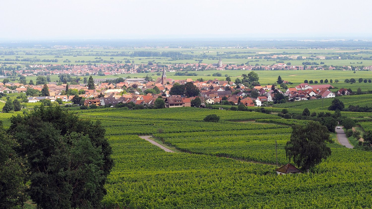 Die Theresienstraße – Winzerhöfe, Kastanien und der Turm von St. Georg.