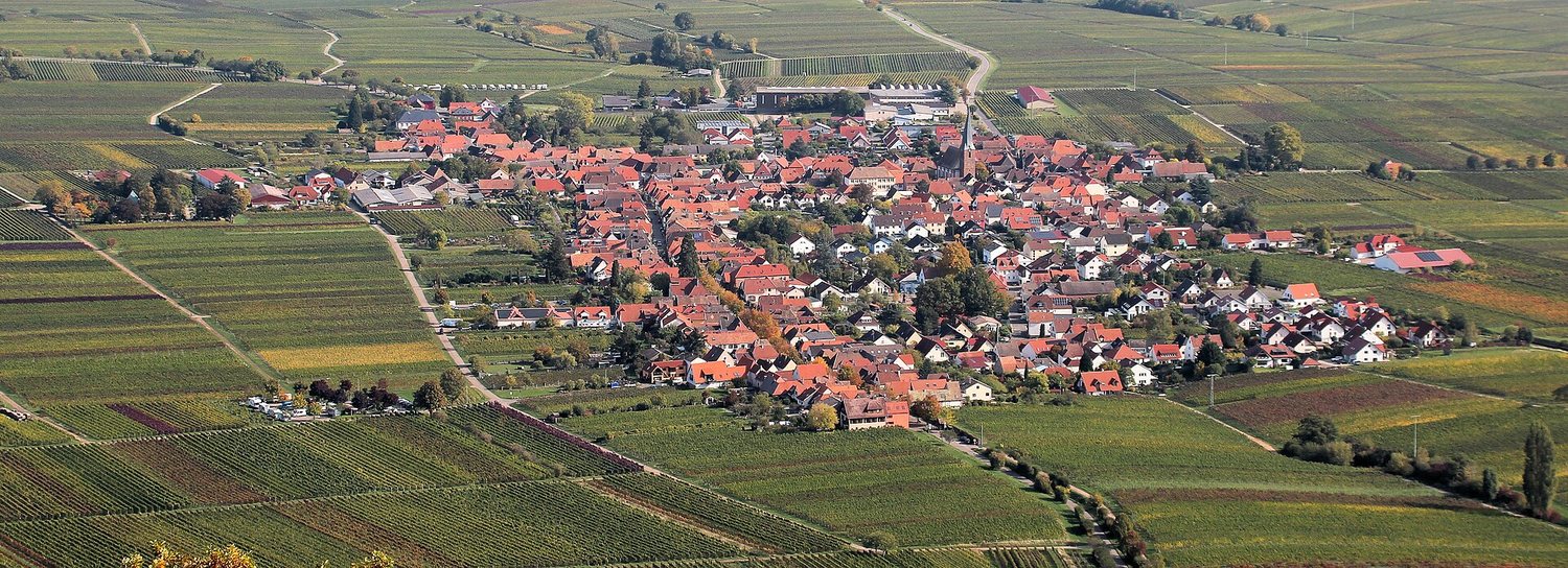 Rhodt von der Rietburg aus gesehen – das Dorf zwischen Reben, dahinter die Ebene.