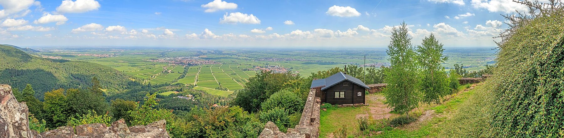 Der Blick von der Rietburg über die Oberrheinebene.