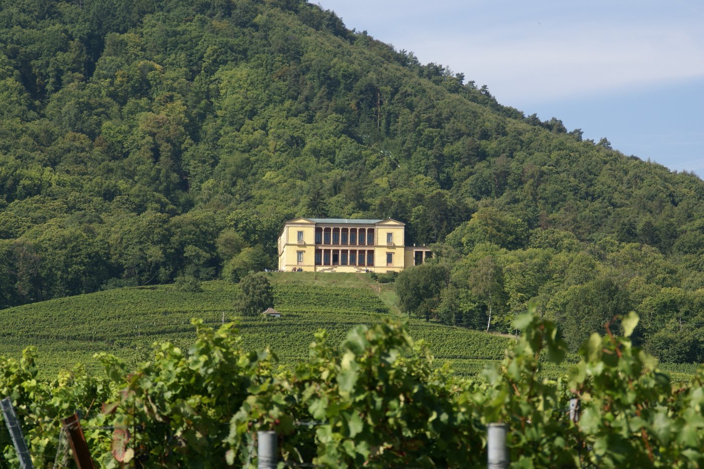 Die Villa über den Weinbergen – der Blick, den Ludwig I. gesucht hat.